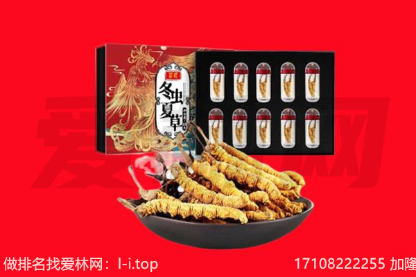 常州溧阳市回收虫草.jpg